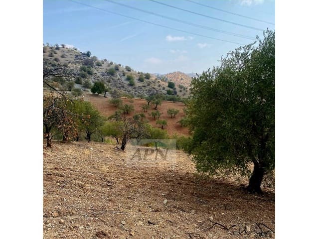 Mark till salu i Alora - 43 000 € (Ref: 8929130)