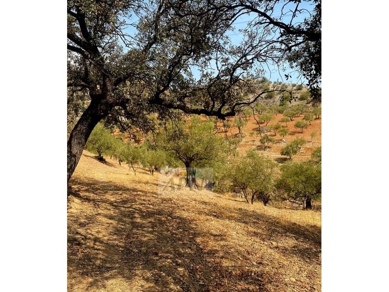 Grunde uden byggetilladelser til salg i Alora - € 43.000 (Ref: 8929130)