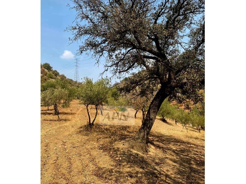 Grunde uden byggetilladelser til salg i Alora - € 43.000 (Ref: 8929130)