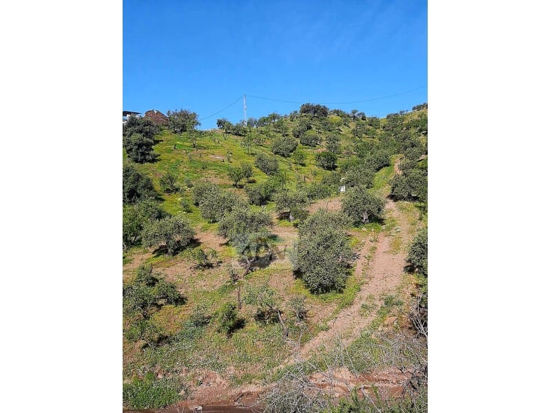 Mark till salu i Alora - 69 000 € (Ref: 8935378)