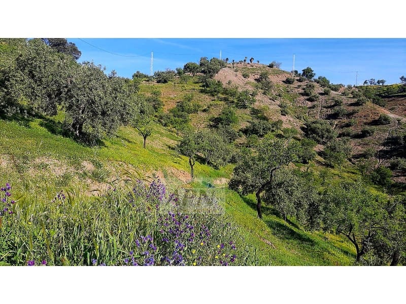 Mark till salu i Alora - 69 000 € (Ref: 8935378)