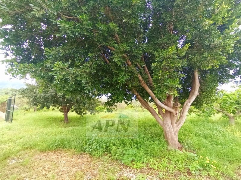 2 chambre Finca/Maison de Campagne à vendre à Alora - 260 000 € (Ref: 8935379)