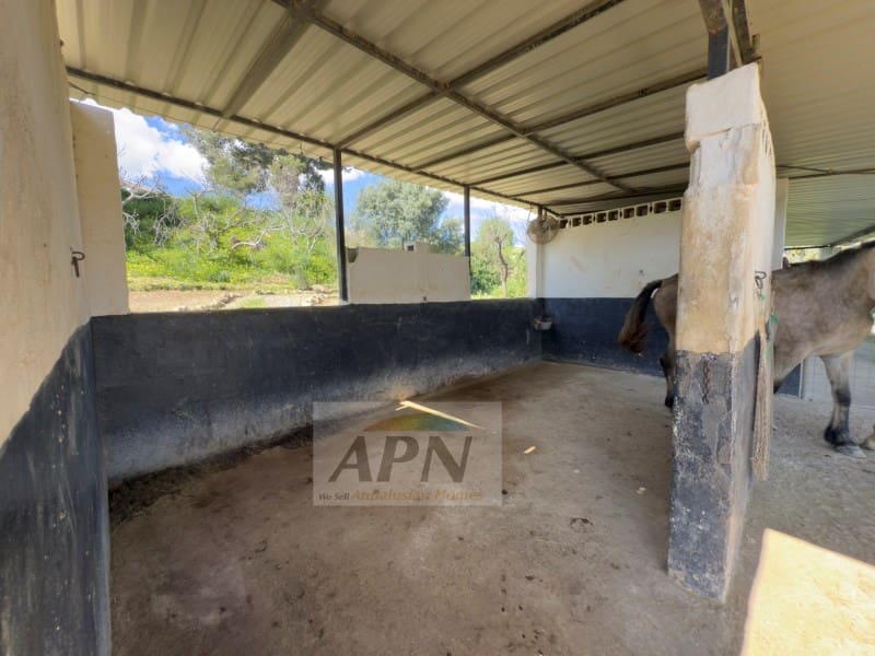 3 slaapkamer Finca/Landhuis te koop in Pizarra - € 390.000 (Ref: 8944253)