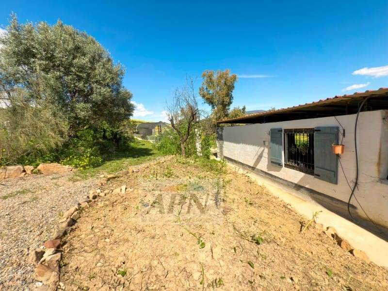 3 slaapkamer Finca/Landhuis te koop in Pizarra - € 390.000 (Ref: 8944253)