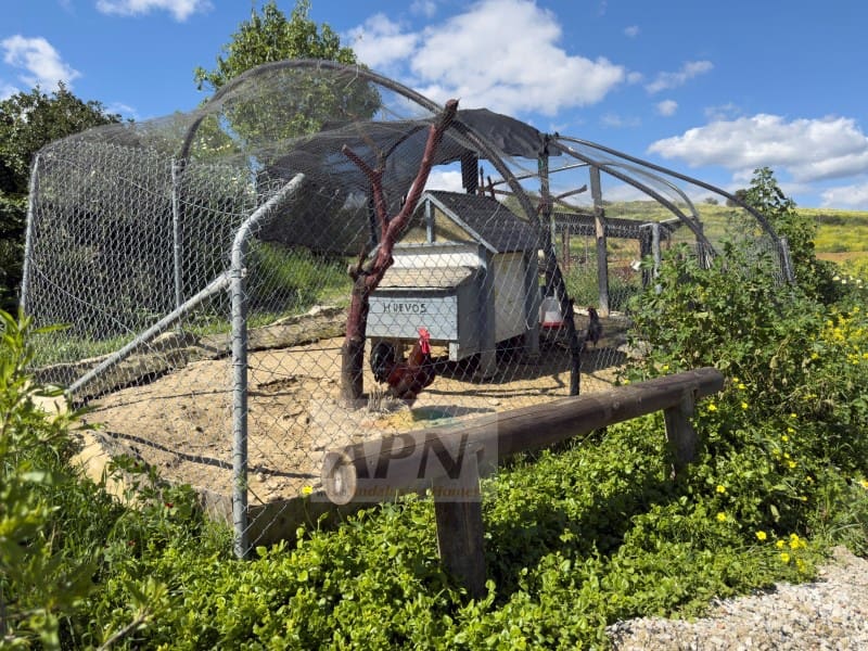 3 slaapkamer Finca/Landhuis te koop in Pizarra - € 390.000 (Ref: 8944253)