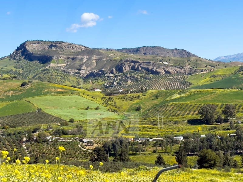 3 slaapkamer Finca/Landhuis te koop in Pizarra - € 390.000 (Ref: 8944253)