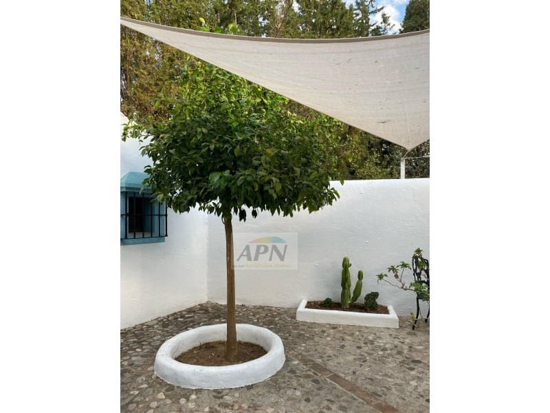 3 sovrum Finca/Hus på landet till salu i Alora med pool - 695 000 € (Ref: 9143920)