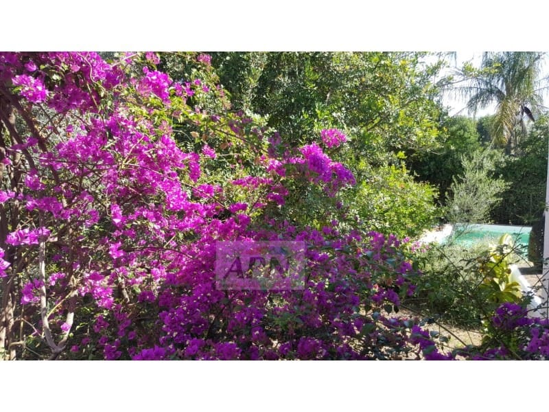 3 sovrum Finca/Hus på landet till salu i Alora med pool - 695 000 € (Ref: 9143920)