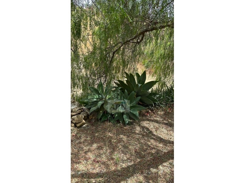 3 quarto Quinta/Casa Rural para venda em Alora - 379 000 € (Ref: 9185536)