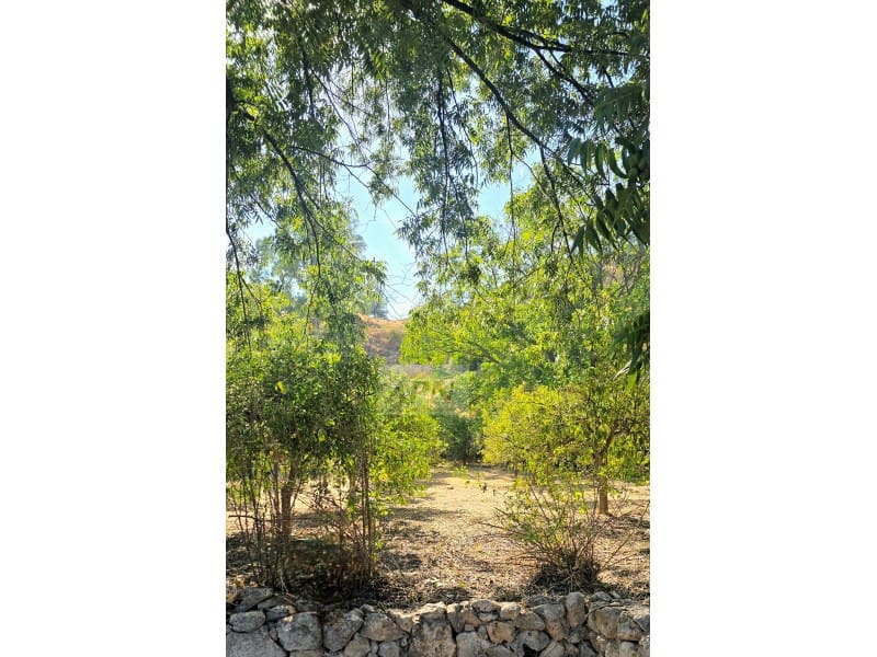 3 chambre Finca/Maison de Campagne à vendre à Alora avec piscine - 370 000 € (Ref: 9231011)