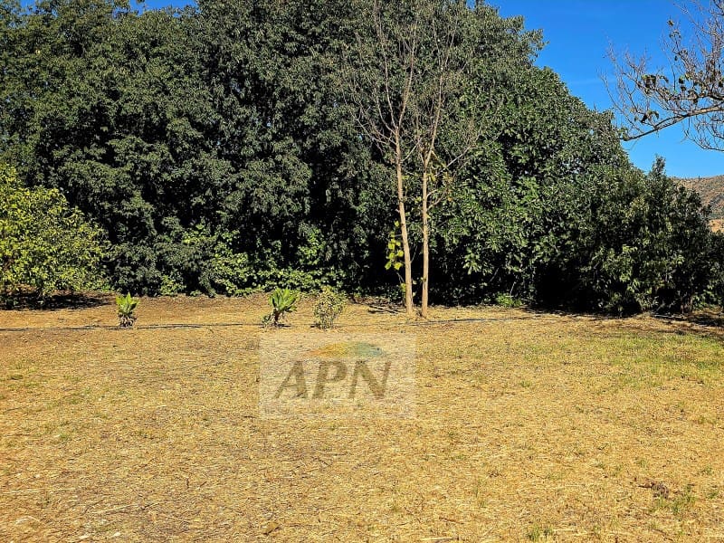 3 chambre Finca/Maison de Campagne à vendre à Alora avec piscine - 370 000 € (Ref: 9231011)