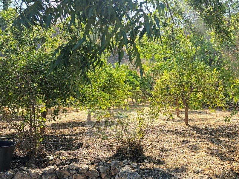 3 chambre Finca/Maison de Campagne à vendre à Alora avec piscine - 370 000 € (Ref: 9231011)