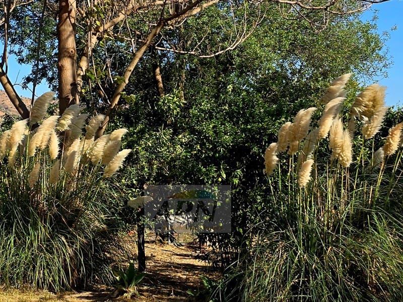 3 chambre Finca/Maison de Campagne à vendre à Alora avec piscine - 370 000 € (Ref: 9231011)