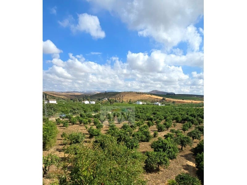 4 chambre Finca/Maison de Campagne à vendre à Alora - 385 000 € (Ref: 9276571)