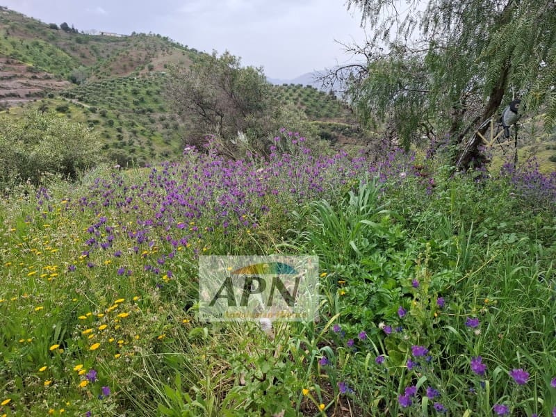 3 chambre Finca/Maison de Campagne à vendre à Alora - 195 000 € (Ref: 9300945)