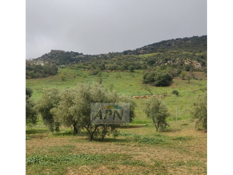 2 soverom Finca/Herregård til salgs i Villanueva de la Concepcion - € 270 000 (Ref: 9353438)