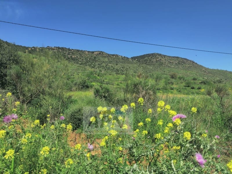 2 soverom Finca/Herregård til salgs i Villanueva de la Concepcion - € 270 000 (Ref: 9353438)