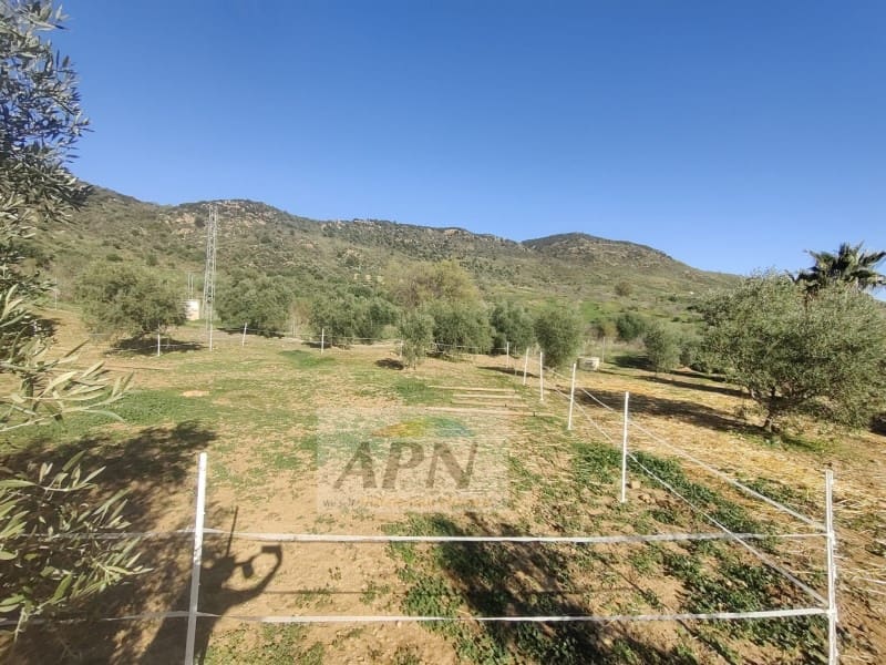 2 soverom Finca/Herregård til salgs i Villanueva de la Concepcion - € 270 000 (Ref: 9353438)