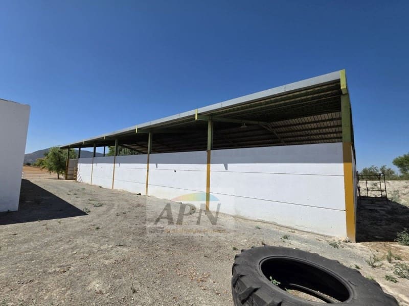 4 soveværelse Finca/Landehus til salg i Moron de la Frontera - € 795.000 (Ref: 9396582)