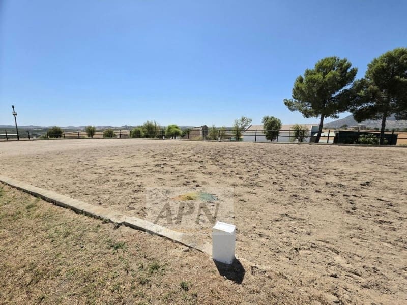 4 soveværelse Finca/Landehus til salg i Moron de la Frontera - € 795.000 (Ref: 9396582)