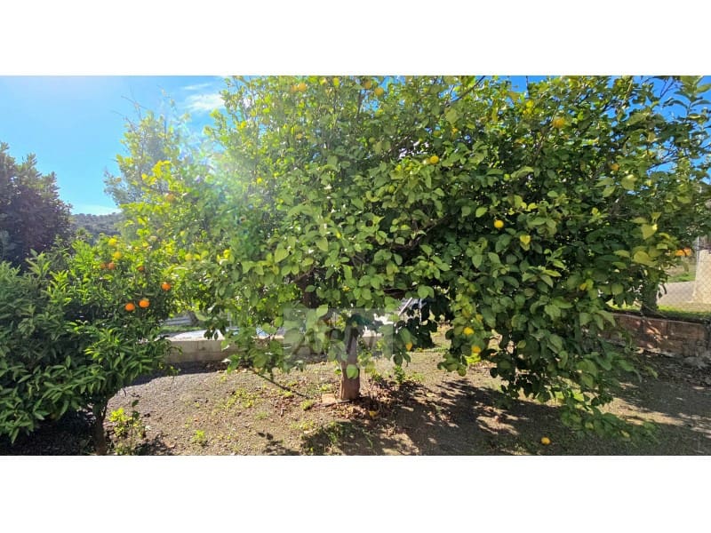 4 camera da letto Finca/Casa di Campagna in vendita in Alora - 172.000 € (Rif: 9425798)