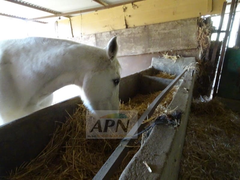 7 quarto Quinta/Casa Rural para venda em Alora com piscina - 595 000 € (Ref: 9462463)