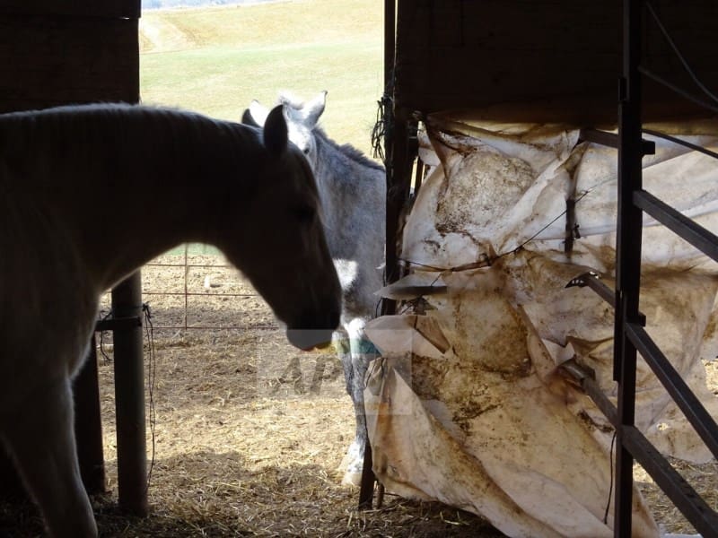 7 quarto Quinta/Casa Rural para venda em Alora com piscina - 595 000 € (Ref: 9462463)