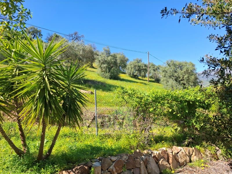 5 bedroom Finca/Country House for sale in Alora with pool - € 695,000 (Ref: 9804216)