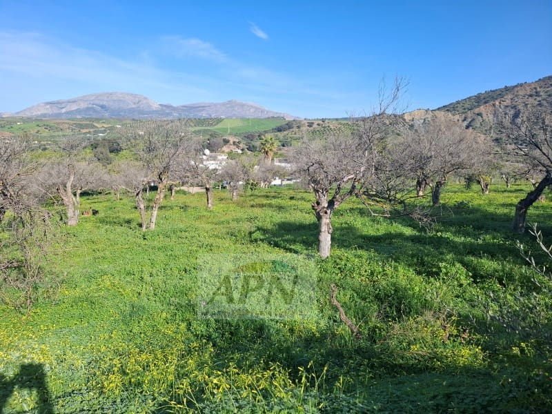 7 sypialnia Finka/Dom wiejski na sprzedaż w Alora - 280 000 € (Ref: 9808079)