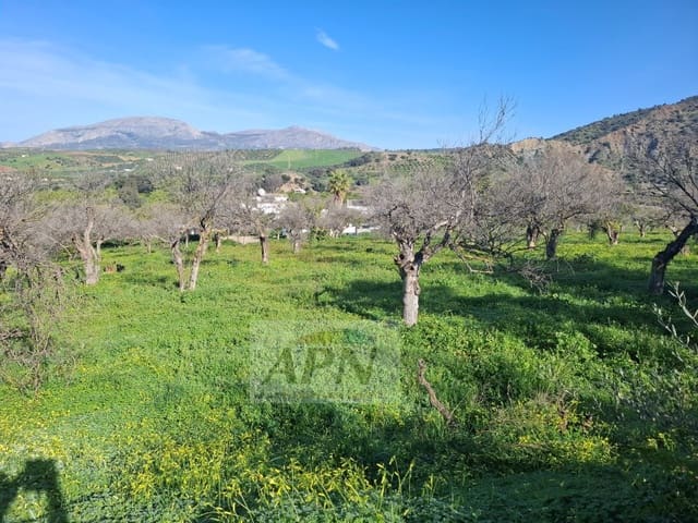 7 sypialnia Finka/Dom wiejski na sprzedaż w Alora - 280 000 € (Ref: 9808079)