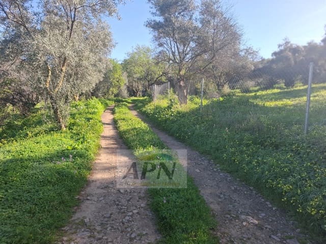 7 sypialnia Finka/Dom wiejski na sprzedaż w Alora - 280 000 € (Ref: 9808079)