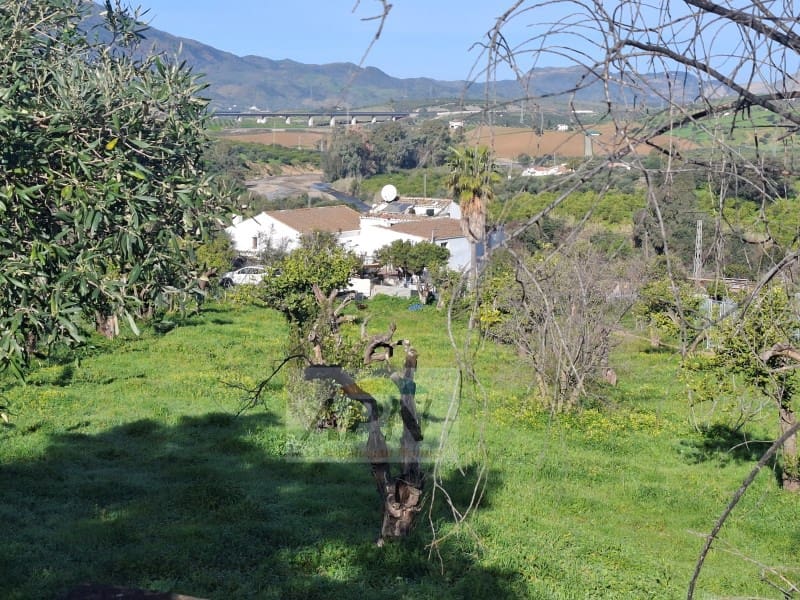 7 sypialnia Finka/Dom wiejski na sprzedaż w Alora - 280 000 € (Ref: 9808079)