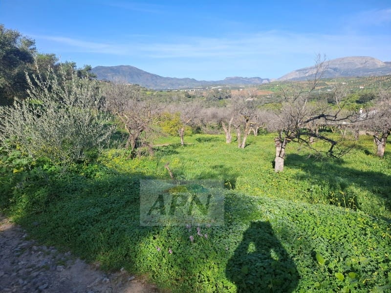 7 sypialnia Finka/Dom wiejski na sprzedaż w Alora - 280 000 € (Ref: 9808079)