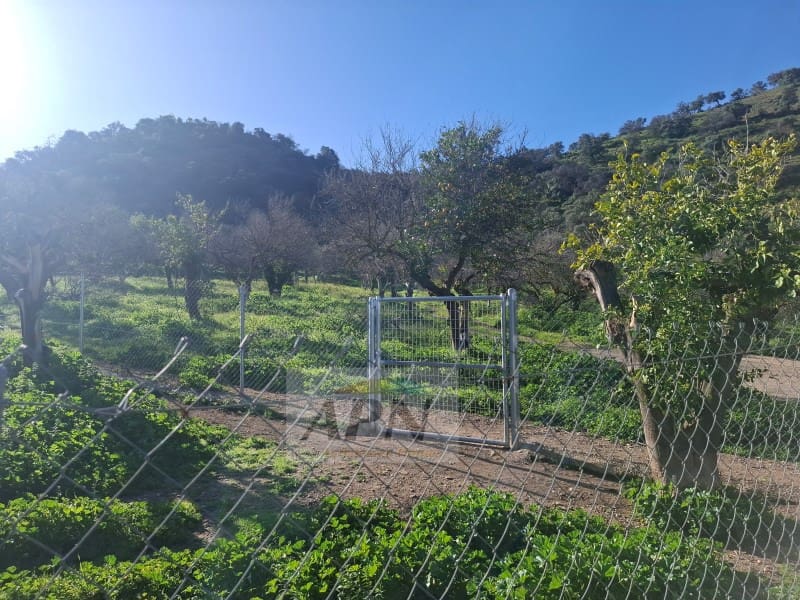 7 sypialnia Finka/Dom wiejski na sprzedaż w Alora - 280 000 € (Ref: 9808079)