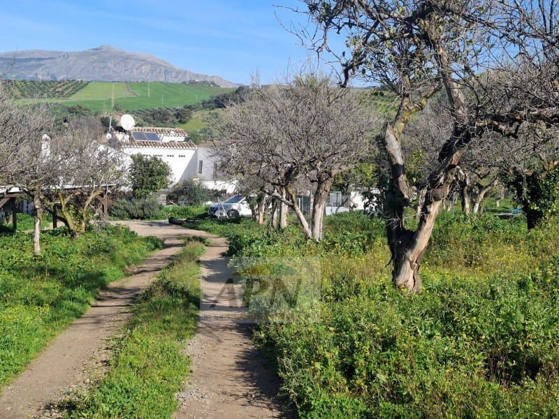 7 sypialnia Finka/Dom wiejski na sprzedaż w Alora - 280 000 € (Ref: 9808079)