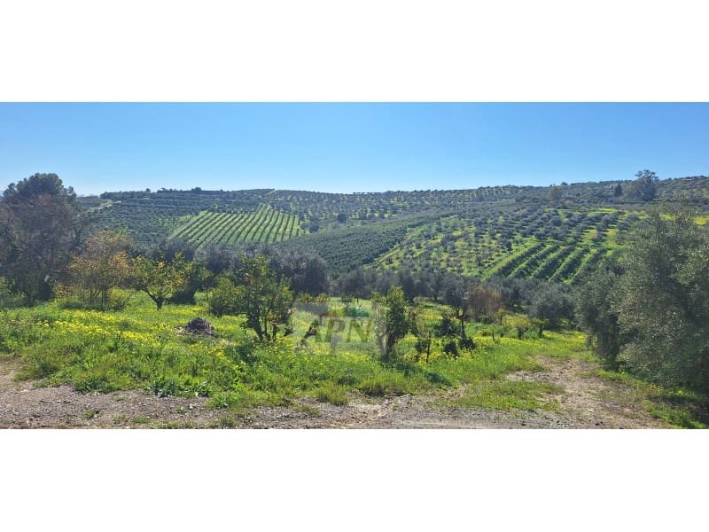 2 bedroom Finca/Country House for sale in Alora - € 255,000 (Ref: 9828999)