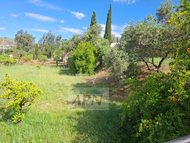 2 camera da letto Finca/Casa di Campagna in vendita in Alora - 265.000 € (Rif: 9846149)