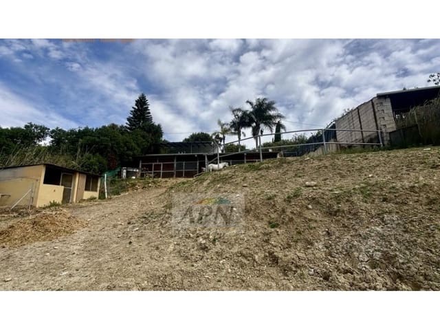 Finca/Casa Rural de 3 habitaciones en Cártama en venta - 325.000 € (Ref: 9866896)