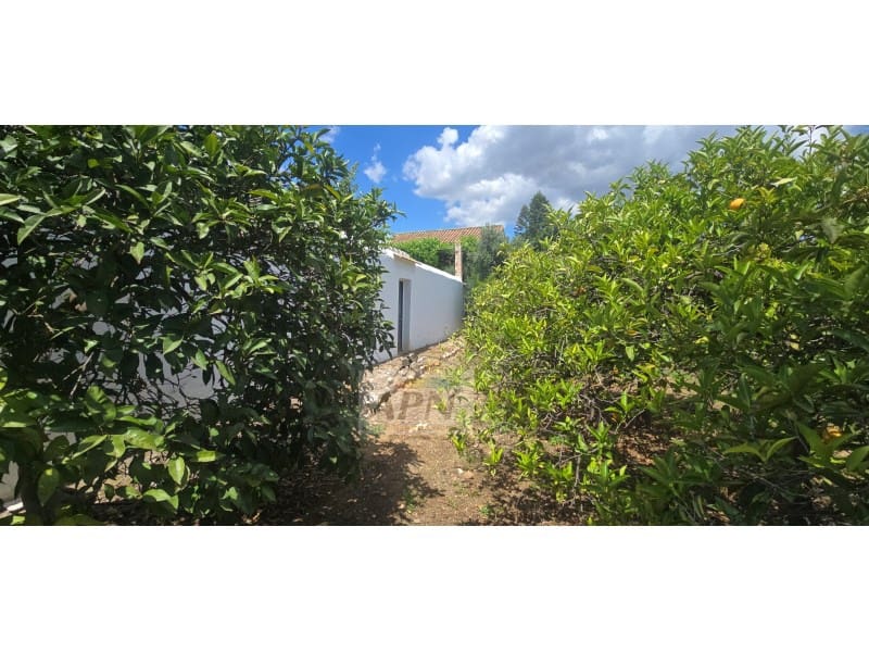3 soveværelse Byhus til salg i Alora - € 258.000 (Ref: 9871672)