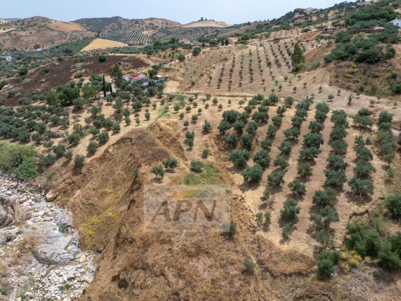 3 slaapkamer Finca/Landhuis te koop in Alora - € 440.000 (Ref: 9949475)