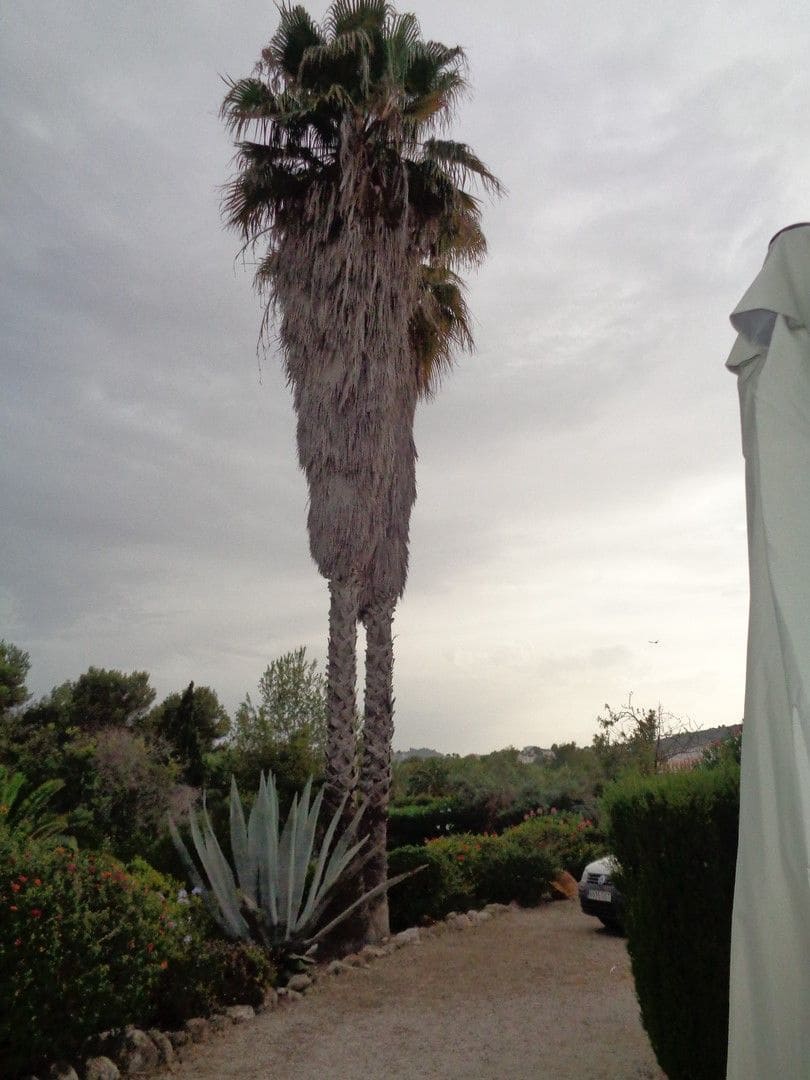 3 soveværelse Villa til salg i Javea / Xabia med swimmingpool garage - € 625.000 (Ref: 9787510)