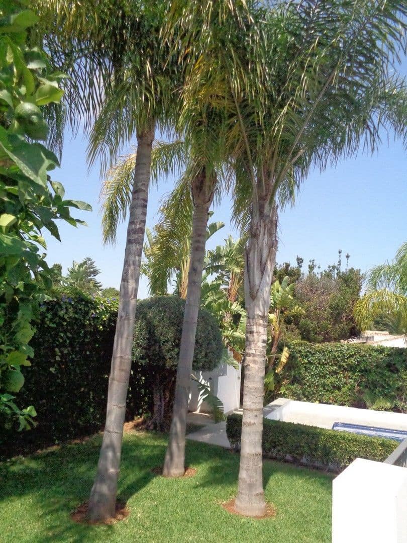 5 soverom Villa til salgs i Javea / Xabia med svømmebasseng garasje - € 1 080 000 (Ref: 9830555)
