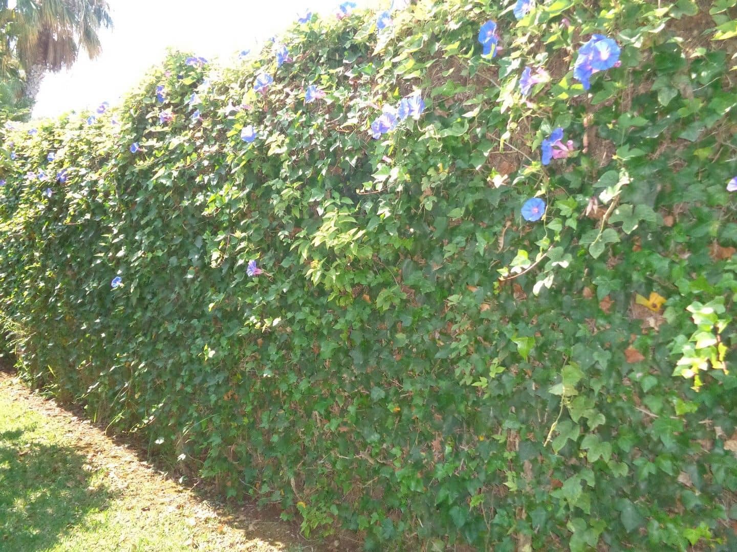 5 soverom Villa til salgs i Javea / Xabia med svømmebasseng garasje - € 1 080 000 (Ref: 9830555)