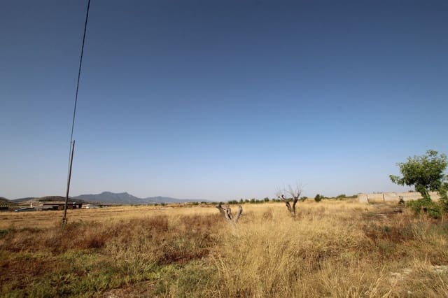 6 bedroom Finca/Country House for sale in Jumilla - € 236,995 (Ref: 10013569)