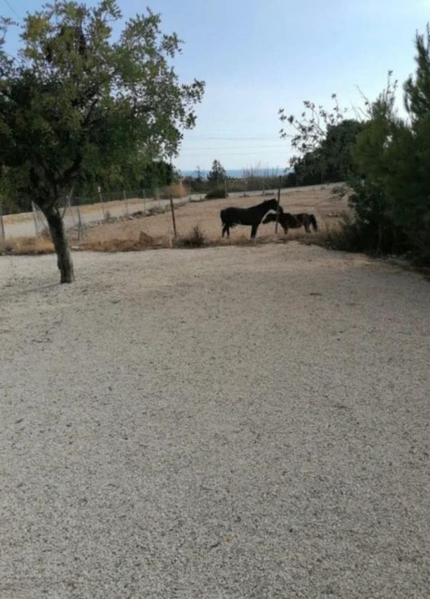 Chalet de 4 habitaciones en La Villajoyosa / Vila Joiosa en venta - 1.200.000 € (Ref: 10013639)