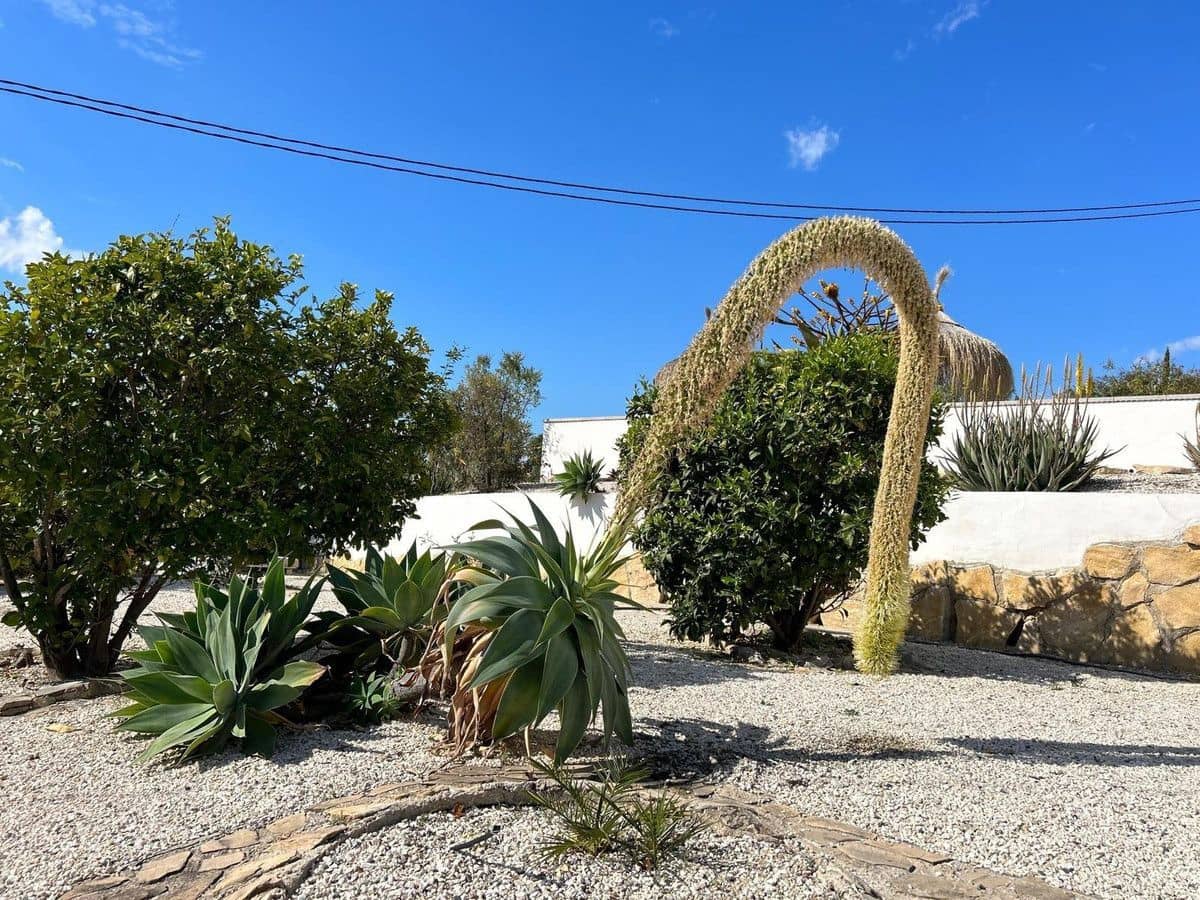 Chalet de 4 habitaciones en La Villajoyosa / Vila Joiosa en venta - 1.200.000 € (Ref: 10013639)