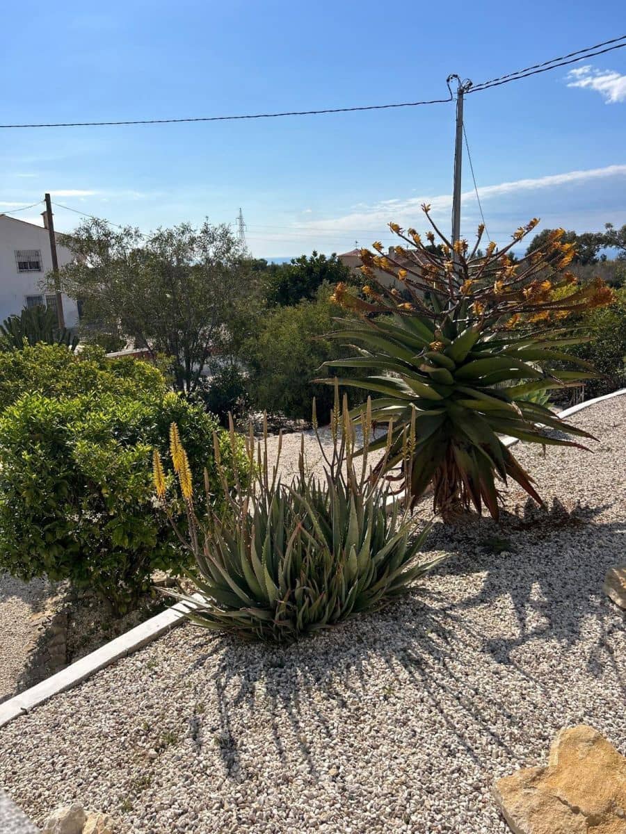 Chalet de 4 habitaciones en La Villajoyosa / Vila Joiosa en venta - 1.200.000 € (Ref: 10013639)