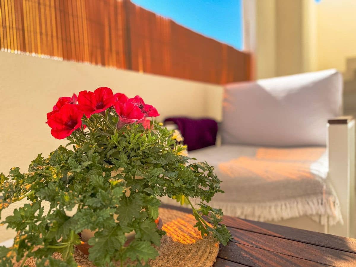Apartamento de 2 habitaciones en Orihuela Costa en venta con piscina - 265.000 € (Ref: 10013753)