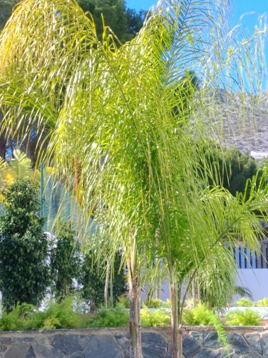 Chalet de 4 habitaciones en Altea en venta - 949.000 € (Ref: 10013786)