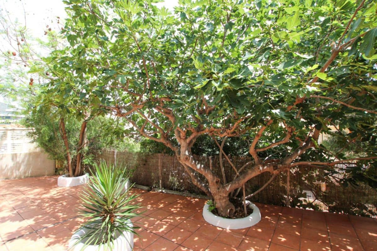 Chalet de 4 habitaciones en Calpe / Calp en venta - 650.000 € (Ref: 10013794)